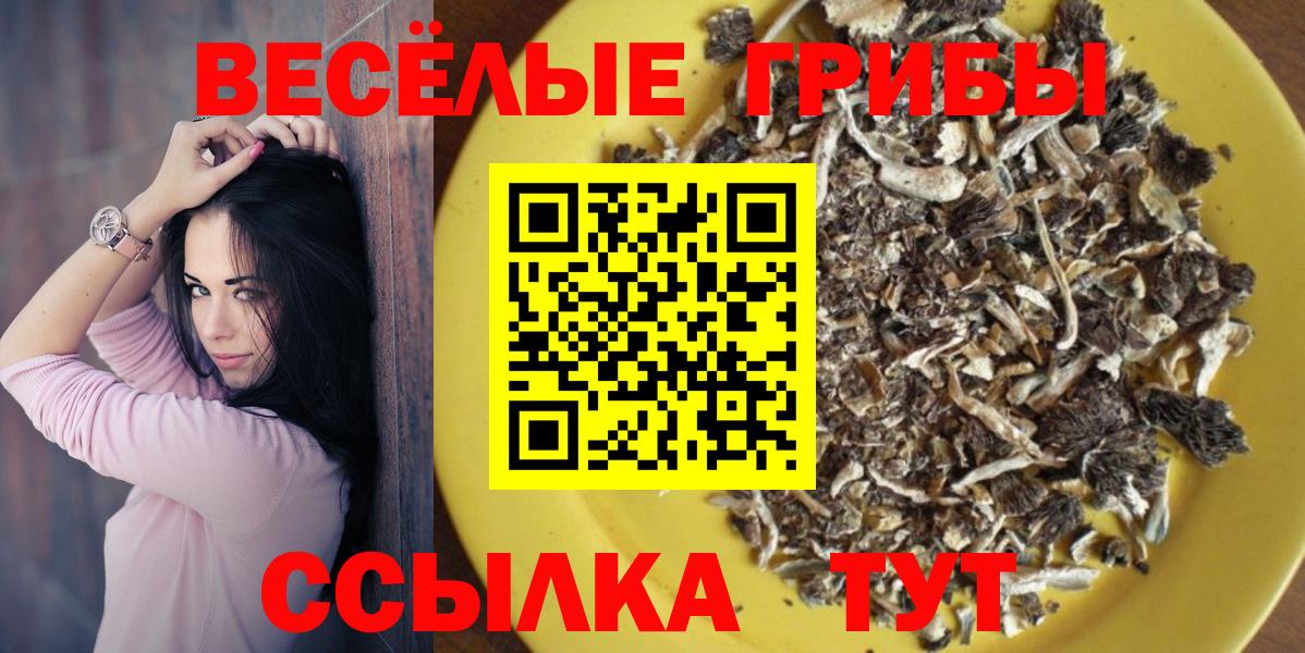 Галлюциногенные грибы MAGIC MUSHROOMS Улан-Удэ