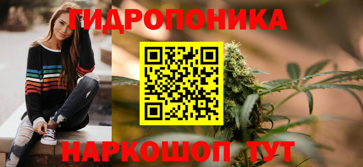 Бошки Шишки планчик Улан-Удэ